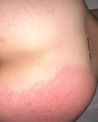 Adryelli Rot | Perfil Close Fans