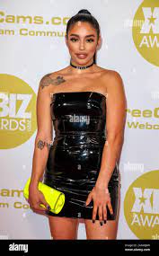 Vanessa Sky attends the 2020 XBIZ Awards at Hotel Westin Bonaventure in Los  Angeles, USA, on 16 January 2020. | usage worldwide Stock Photo - Alamy