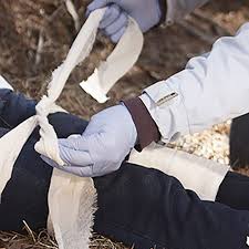 We discuss in these advanced life support questions and answers from different topics like answers for cpr test, bls pretest 2021. Bls Training Get Bls Certification Red Cross