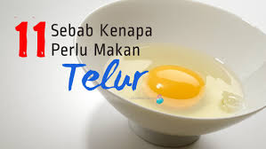 Setelah itu, masukkan telur rebus, lalu masak hingga matang. Khasiat Telur Celoteh Ummi