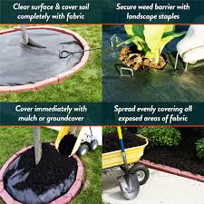 We have had several lawn problems and chris has been able to solve them. Weed Barrier Heavy Duty Landscape Fabric 3 X50 8 Year Guarantee Walmart Com Walmart Com