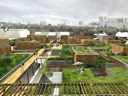 Toit Vegetalise Urbanisme Dense Architecte Urbaniste Urbanisme Cite Jardin
