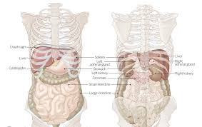 Why You Shouldn'T Ignore Gerd | Nakornthon Hospital