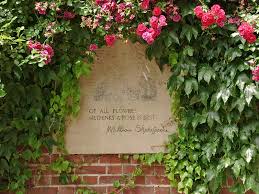 International Rose Garden Shakespeare Quote Rose Garden Portland Garden Calendar Rose