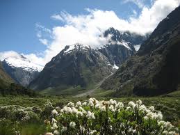 Yang terakhir dari 10 tempat wisata di new zealand paling indah pemandangan alamnya adalah mount cook yang terletak di canterbury,. Pesona New Zealand Travel Pelopor Paket Tour Wisata Halal Dunia
