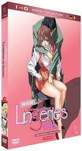 DVD Lingeries Office - Fantasmes au bureau - Intégrale - Anime Dvd - Manga  news