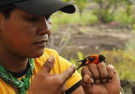 Building the next generation of global conservation leaders