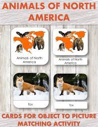Animals Of North America Safari Toob 3 Part Cards Editable North America North American Animals North American Wildlife