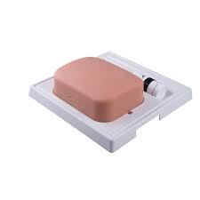 It is used as a temporary storage for bile, a fluid produced in the liver. Gallbladder Set 8000884 3011910 Simulation Kits 3b Scientific