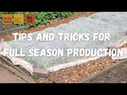 The new discount codes are constantly. Palmer Flowers Promo Code 08 2021