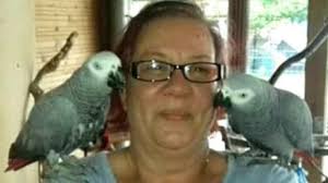 Klein Nordende: Papageienfreunde Nord feiern 30-jähriges Bestehen