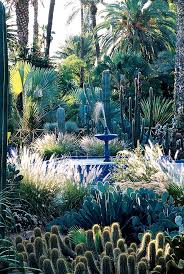 Search Results For Yves Moroccan Oasis Image 51f6dccc9ac35f4677a10960 Source Type Share Source Id 114560 Domino Succulent Landscape Design Moroccan Garden Landscape Design
