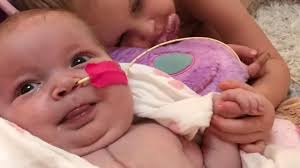 Fundraiser by Jane Berkery : Campaign for Coco