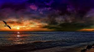 Image Result For Nature Hd Background For Editing Sunset Background Images Background Images Wallpapers