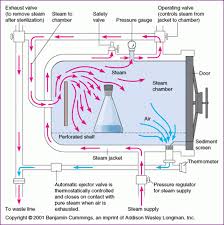 Moist Heat Sterilization Definition Principle Advantages