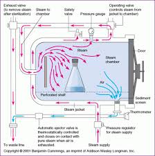 moist heat sterilization definition principle advantages