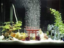 Interior design fresh themed aquarium decorations excellent home via dfhqrm.com. The Feng Shui Fish Tank Aquarium Advice Aquarium Forum Community