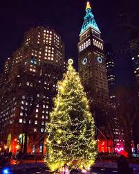 Loft Is All You Need New York Christmas New York Travel Bronx Nyc
