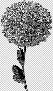 Jimin white aesthetic wallpaper bts aesthetics amino. Flower Wallpaper Drawing Black And White Hd Wallpaper