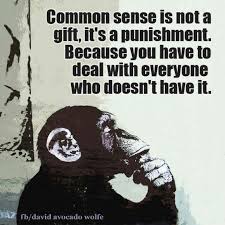 Common Sense Is Not A Gift It Is A Punishment Because You Have To Deal With Everyone Who Does Not Have It Common Sense Knowledge And Wisdom Senses