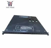 IS200EACFG2ABB datasheet Supplier - Vogi