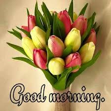 Check spelling or type a new query. Good Morning Beautiful Rose Flowers