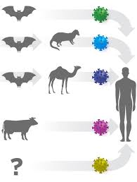 There were so many patients in the doctor's surgery that i didn't wait and i surgery a place where a doctor or dentist sees patients; Coronavirus Symptoms And How To Protect Yourself What We Know Wsj