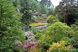 Ken Cox Aims To Give Woodland Gardens And Acid Loving Plants The Attention They Deserve Horticulture Week