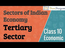 Primary activities are those that depend on the environment, as well as those that refer to the use of the resources of the planet earth, such as water, vegetation, building materials, minerals and earth. Tertiary Sector Sectors Of Indian Economy Cbse Class 10 X Economics Youtube