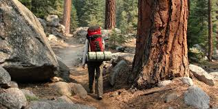 Prices reach an average of $846 per night. Lodging And Camping At Sequoia Kings Canyon Visit California