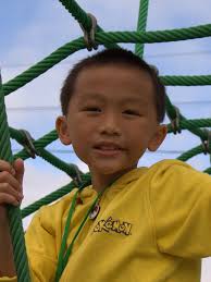 Community Impact Report