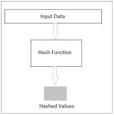 Netezza Hash Function
