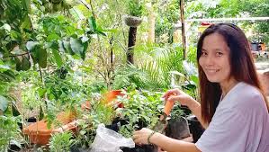 We recommend this list of garden essentials whether you're new to gardening or simply taking stock of your current supplies, from gloves, to fertilizers, to vegetable supports. Noy S Garden Essentials Home Facebook