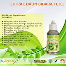 We did not find results for: Minyak Daun Bidara Tetes Mengatasi Peradangan Penyakit Lambung Shopee Indonesia