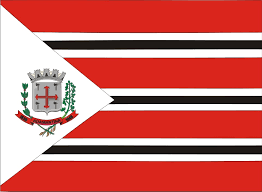 Caso você conheça mais fontes de informação sobre a história, o significado das cores e desenhos destes símbolos municipais, incluídos, leis, decretos e/ou portarias municipais referentes a bandeira e/ou ao brasão de são paulo de olivença/am, por favor nos informe, indicando também se deseja ter os créditos pela sua contribuição (caso contrário, suporemos que prefere permanecer anônimo). Geografia Perguntas E Respostas Bandeira De Todos Os Municipios De Sao Paulo E Com Direito Ate A Um Municipio Que Nao Existe Mais