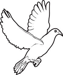 Share this:21 dove pictures to print and color more from my sitestorks coloring pagescrab coloring pagesbeaver coloring pageseagle coloring pagesbat coloring pagesgoat coloring pages. Printable Dove Coloring Page For Kids Supplyme
