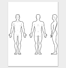 Landmarks on the body are areas where the bone is at the surface. Human Body Outline Front And Back Pdf Body Outline Human Body Drawing Body Template