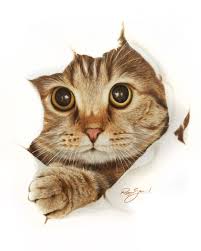 I also explain how to draw white whiskers. Realistic Colored Pencil Drawing By Robin Gan Home Facebook