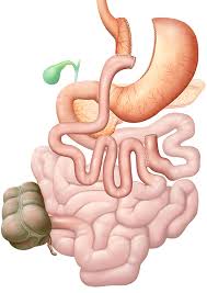 Adipositaschirurgie Schlauchmagen Magenbypass Minibypass