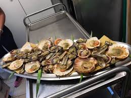 Bagno ristorante levante 68, porto garibaldi: 1crn 8my8j2h2m