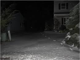 15 551 deep snow stock video clips in 4k and hd for creative projects. Roland Kays Scientist At Work Blog The New York Times
