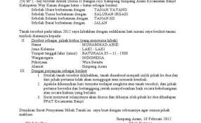Demikian beberapa contoh surat pribadi untuk orang tua semoga bermanfaat untuk para pembaca blog. Contoh Surat Hibah Tanah Dan Bangunan Kepada Anak Corona Todays