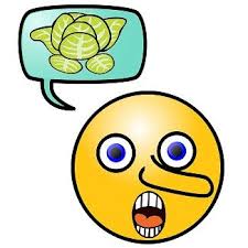 Expression Raconter Des Salades Dire Des Mensonges Raconter Expressions Expressions Francaises