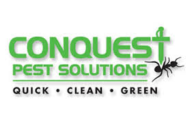 Pest control & exterminators plumbers pool companies pressure washing remodeling frequently asked questions about arlington heights awning contractors. 15 Best Pest Control Companies In Chicago Il Consumeraffairs