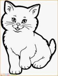 28 sketsa gambar kucing dan kelinci gudangsket. Gambar Sketsa Kucing Dan Kelinci