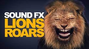 Lion Roar Sound Effect High Quality Lion Roar Sound Roar Sound Effects