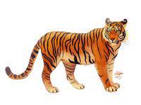 We provide millions of free to download high definition png images. 160 Tiger Free Png Images Ideas Tiger Png Images Free Png