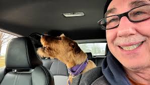 Veeery sweepy after a busy morning of a long, early walk, breakfast, and  much property protecting.