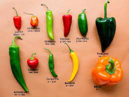 The spicy pepper is a chili, chilli, or chile (there are three alternative spellings). Chile Peppers Recipes Food Network Food Network