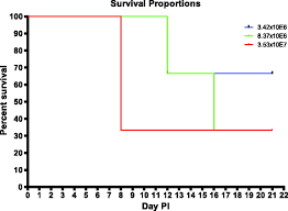 Monkeypox is a rare illness that causes rash, chills, and fever. A Novel Respiratory Model Of Infection With Monkeypox Virus In Cynomolgus Macaques Journal Of Virology